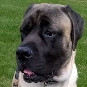 Meet your Posher, Marty